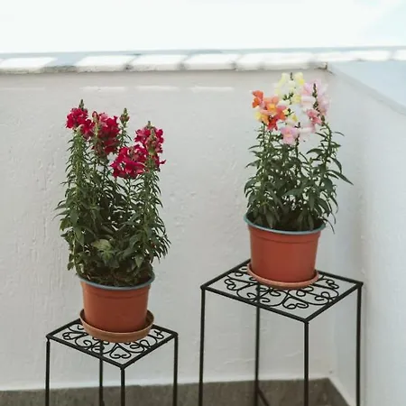 Limnes Aparthotel Perissa (Santorini)