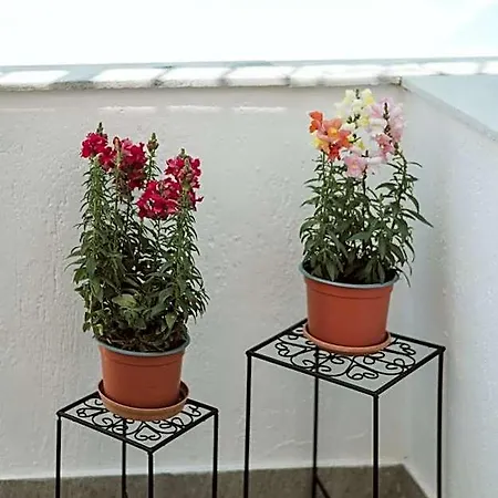 Limnes Aparthotel Perissa (Santorini)