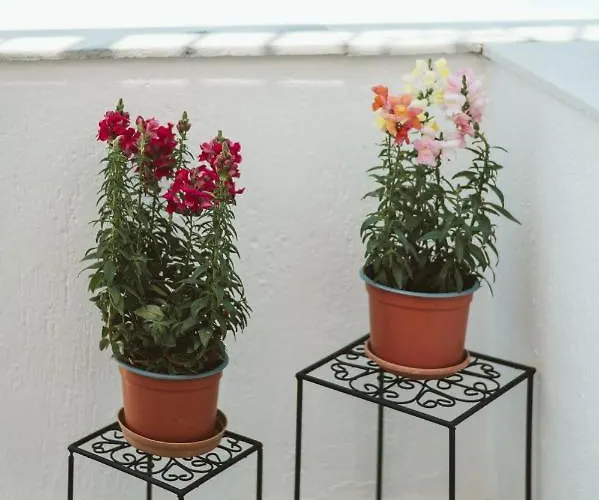 Limnes Aparthotel Perissa (Santorini)